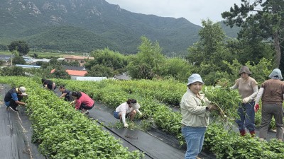 천연염색 프로그램